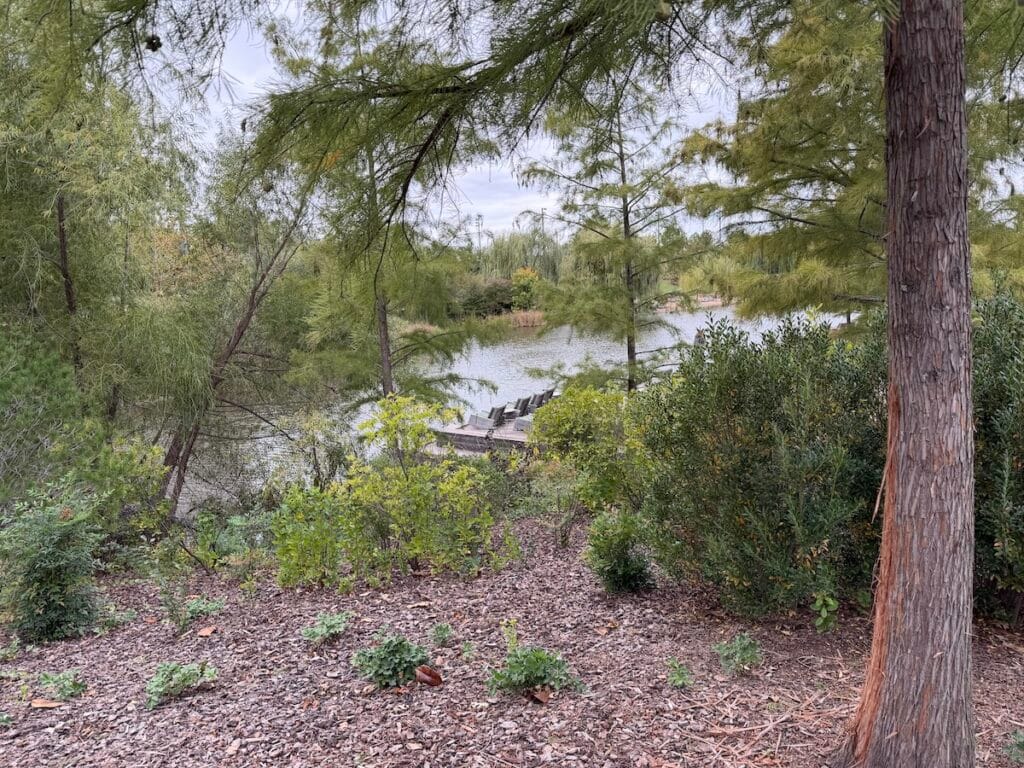 Natural lakeside area at Gathering Place with trees, shrubs, and calm water, showcasing outdoor recreation for Relocation and Moving to Tulsa.